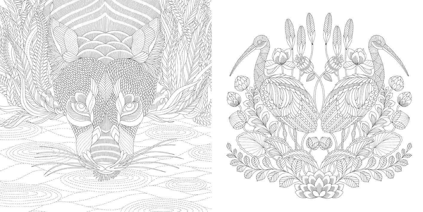 Millie Marotta's Wildlife Wonders Coloring Book