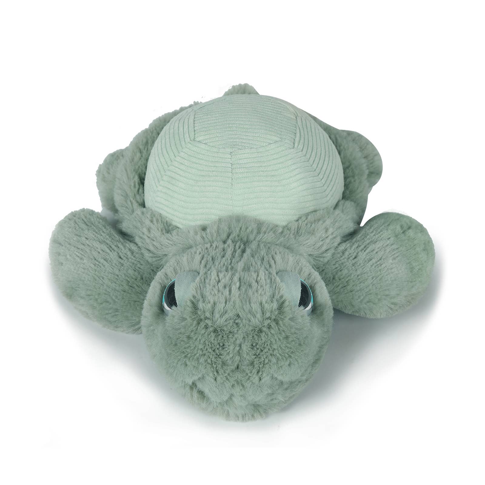 Little Tyler Turtle Soft Toy 7.8" / 20cm