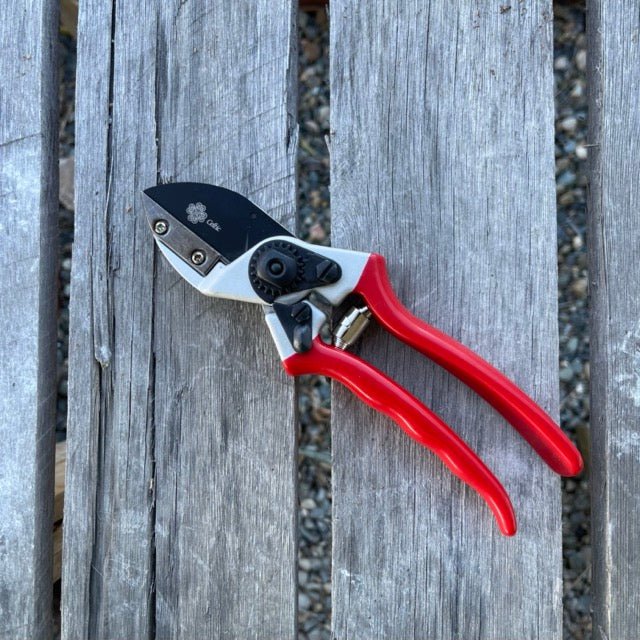 Anvil Pruner - Quality Anvil + Blade Shears