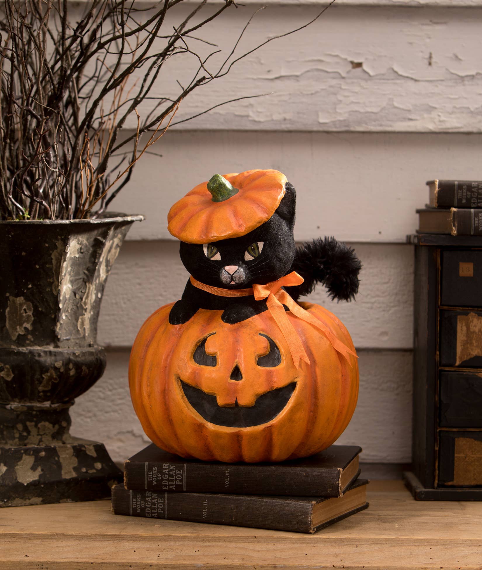 Kitty Cat in Jack