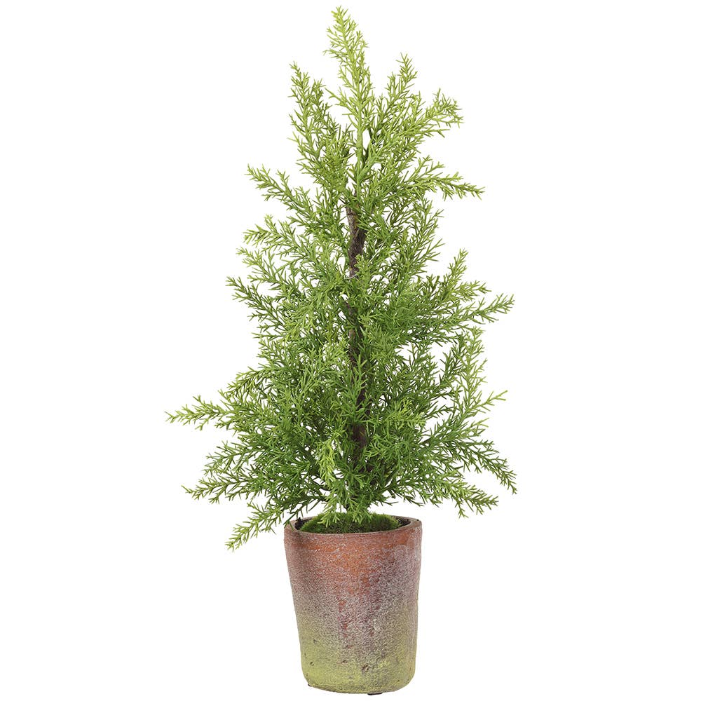 Cedar Tree in Mgo Planter Green | 19"