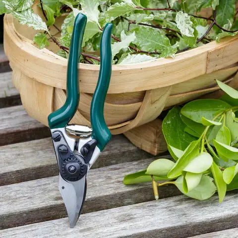 RHS Prof. Compact BP Secateur