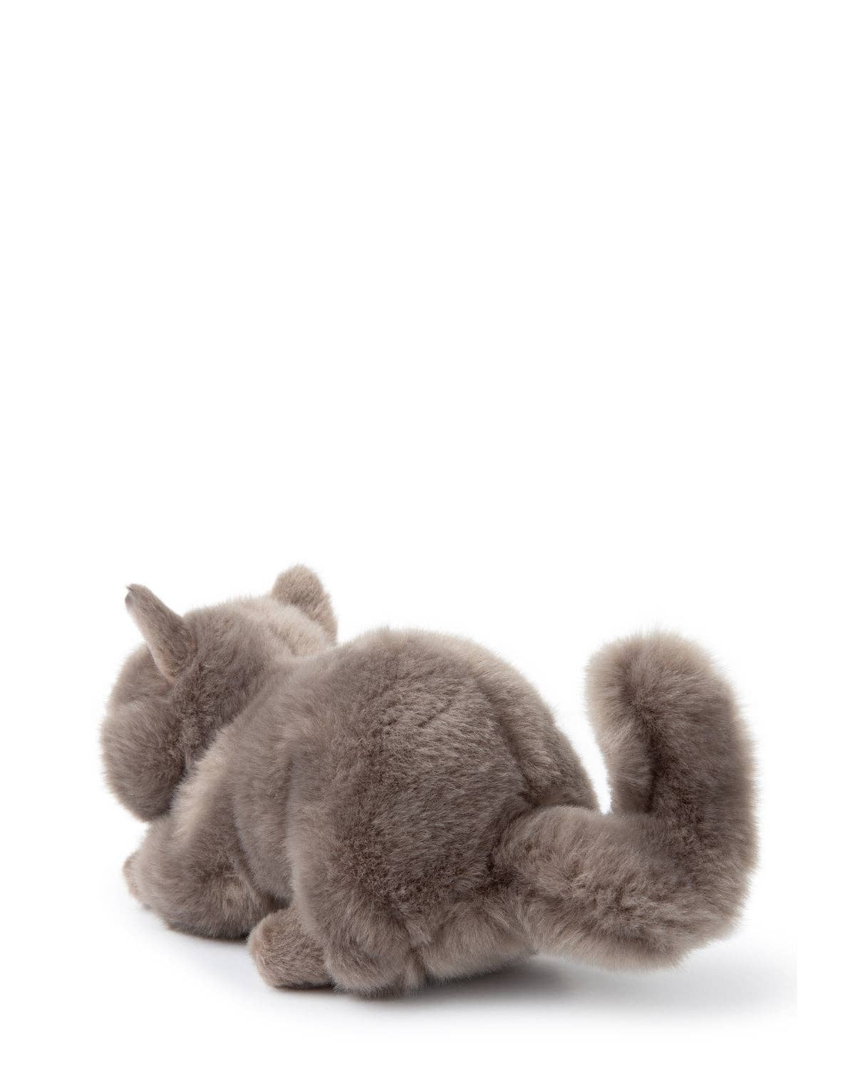 Plush BT CHAPS in Giftbox 6.5": 6.5" / Bertha The American Bulldog Floppy in Giftbox