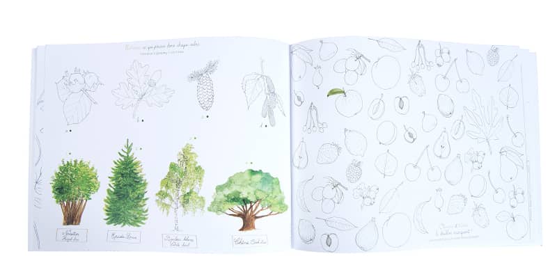 Notebook Garden Theme - Recreational Activity