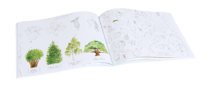 Notebook Garden Theme - Recreational Activity