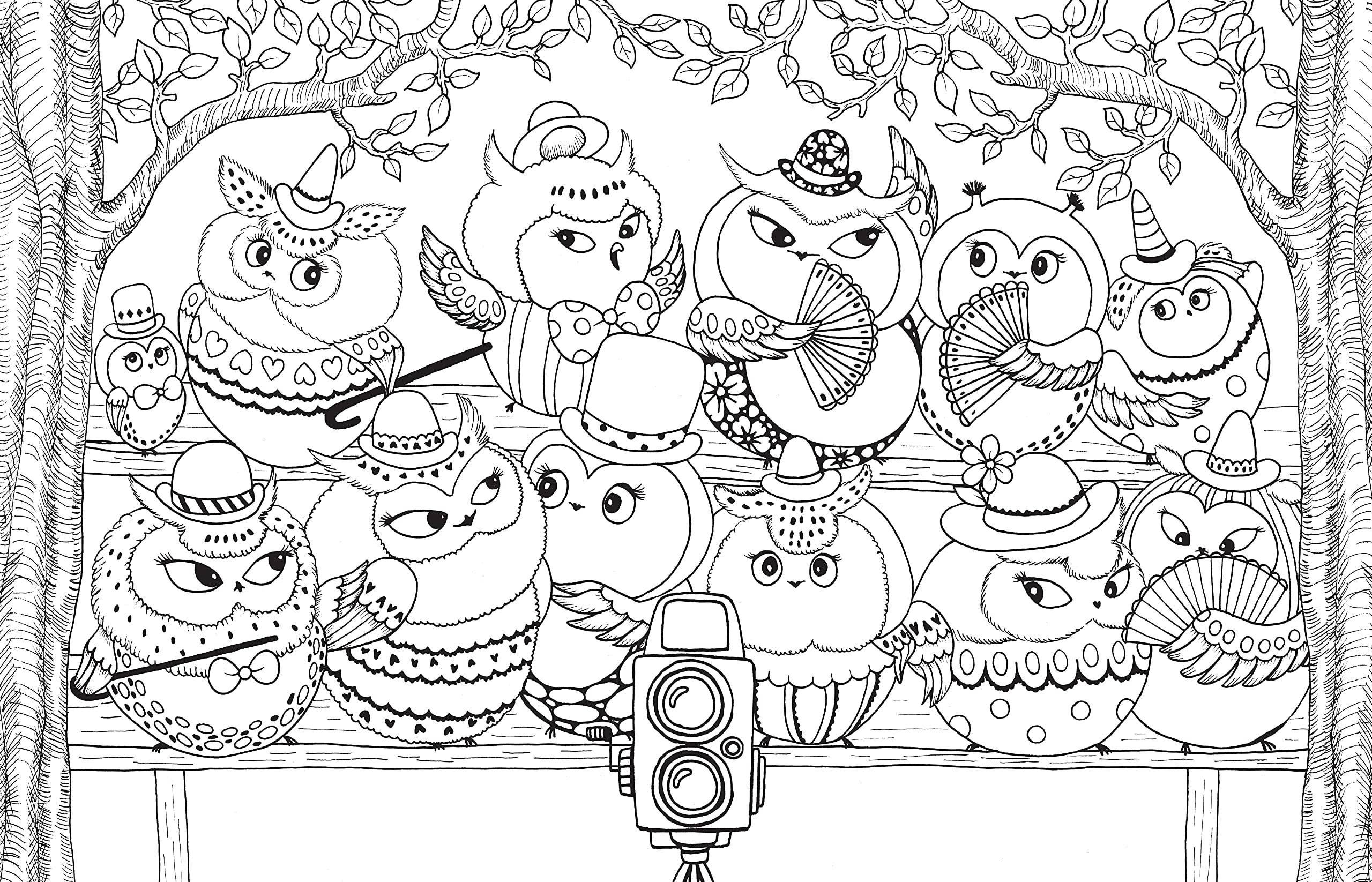 A Million Owls Coloring Book