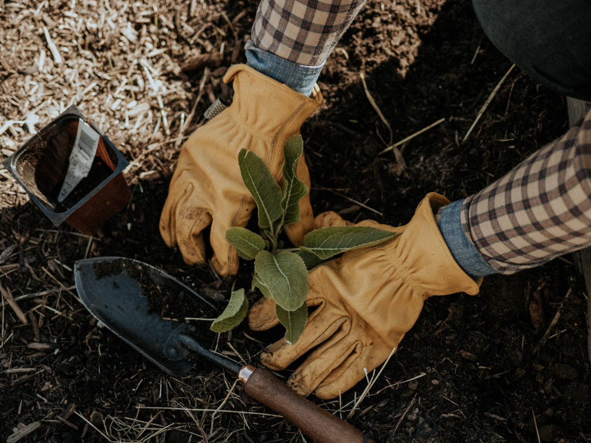 Classic Work Glove: Natural Yellow / S/M