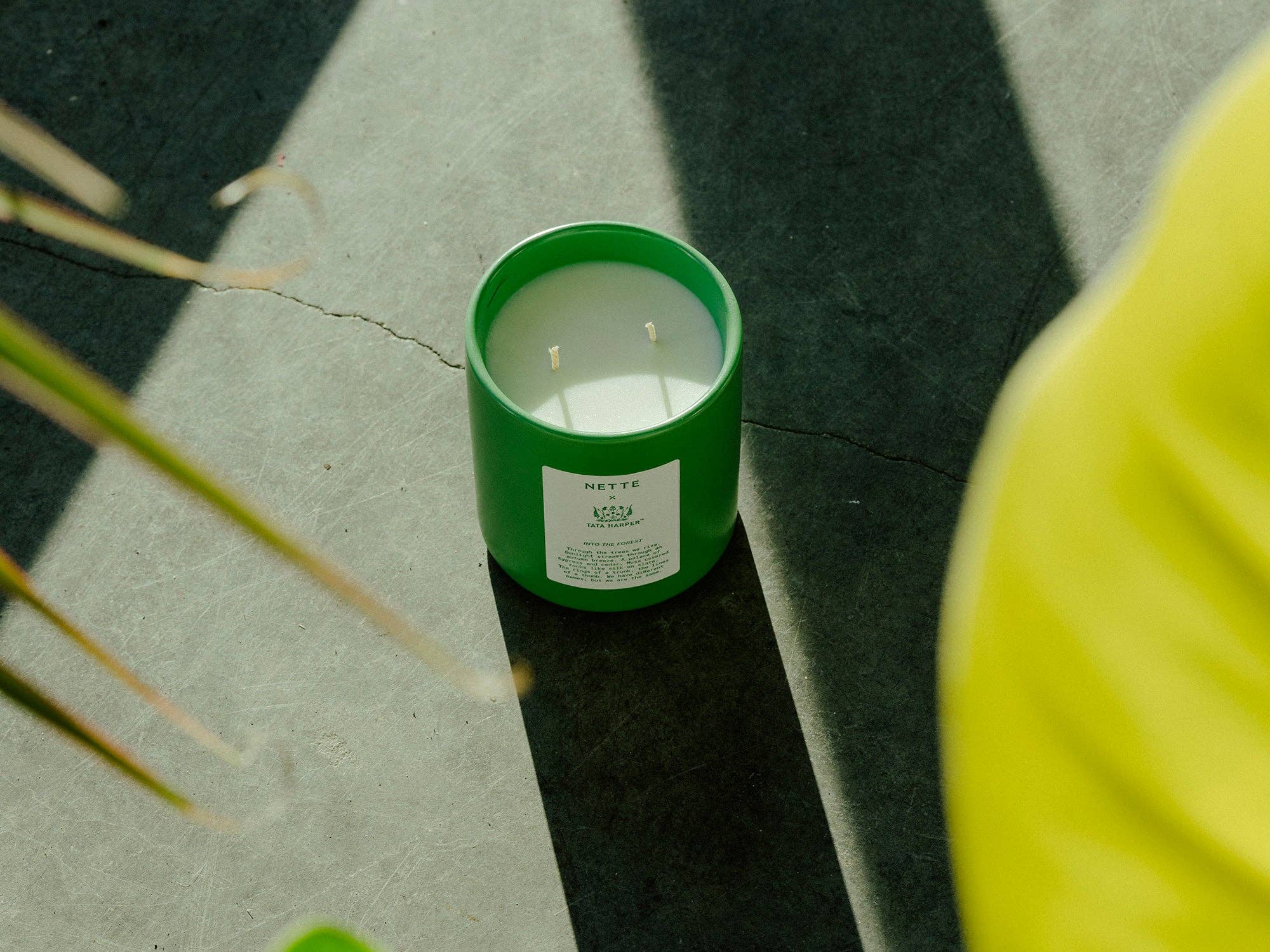Into The Forest Scented Candle