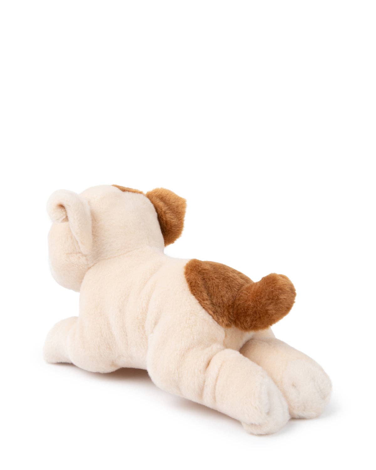 Plush BT CHAPS in Giftbox 6.5": 6.5" / Bertha The American Bulldog Floppy in Giftbox