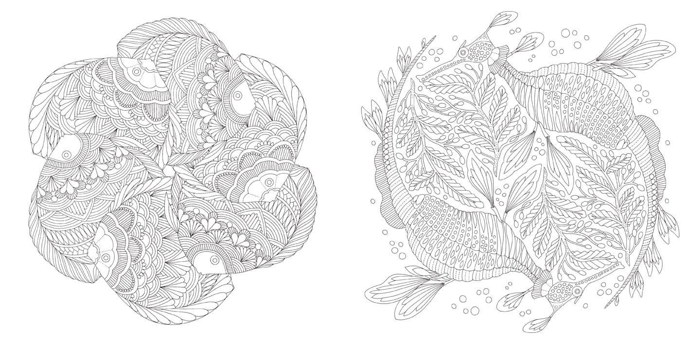 Millie Marotta Animal Kingdom Coloring Book – Every Little Something