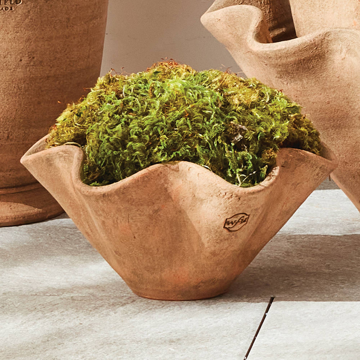 Wakefield Handmade Wiley Pot #4, Tan