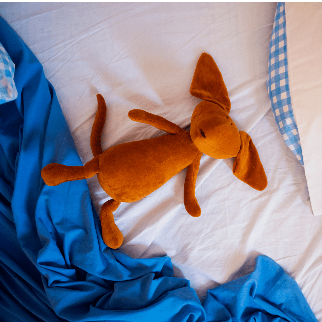 SCOTT THE DACHSHUND - L: Without clothing / Tobacco