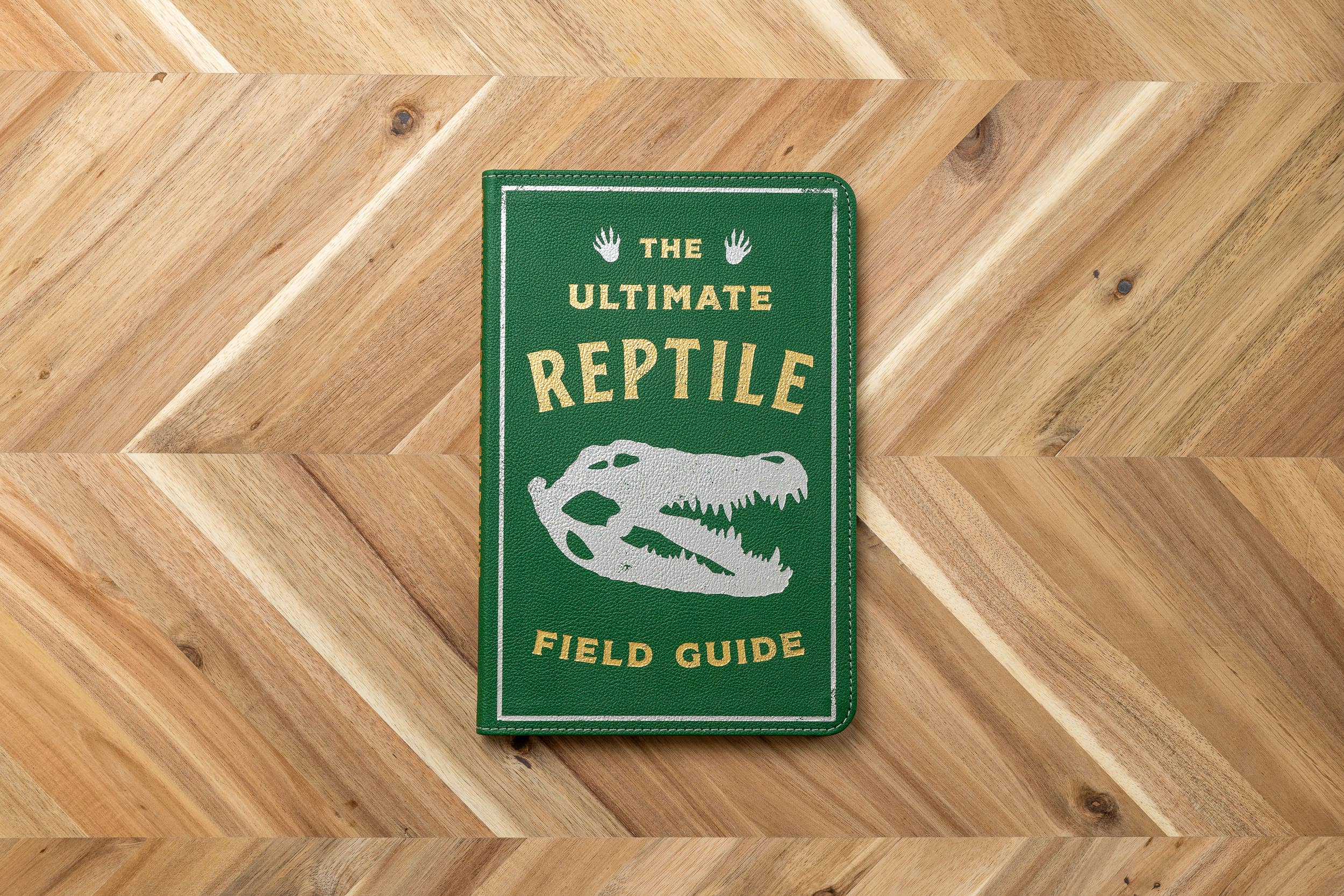 Ultimate Reptile Field Guide Illustrated by Csotonyi