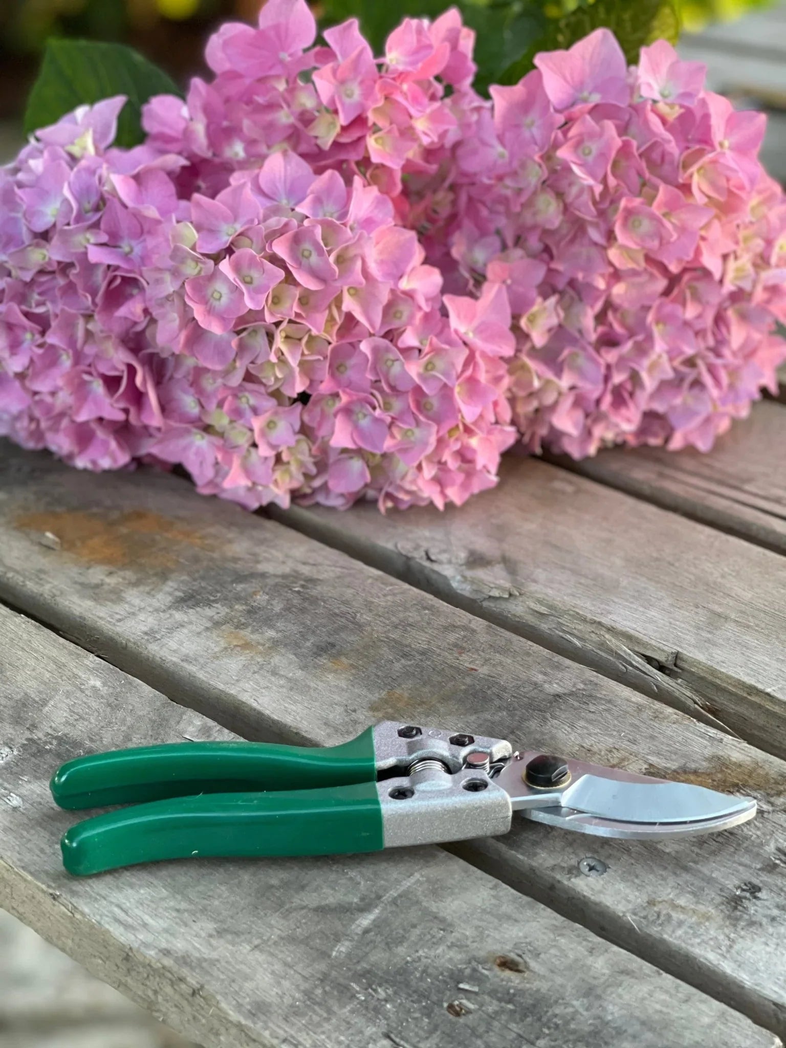 Ultimate Garden Gift Box -  4 Garden Tool Set  (Hori Hori, Pruners, Garden Snips and Garden Tool Sharpeners)  Tool Kit
