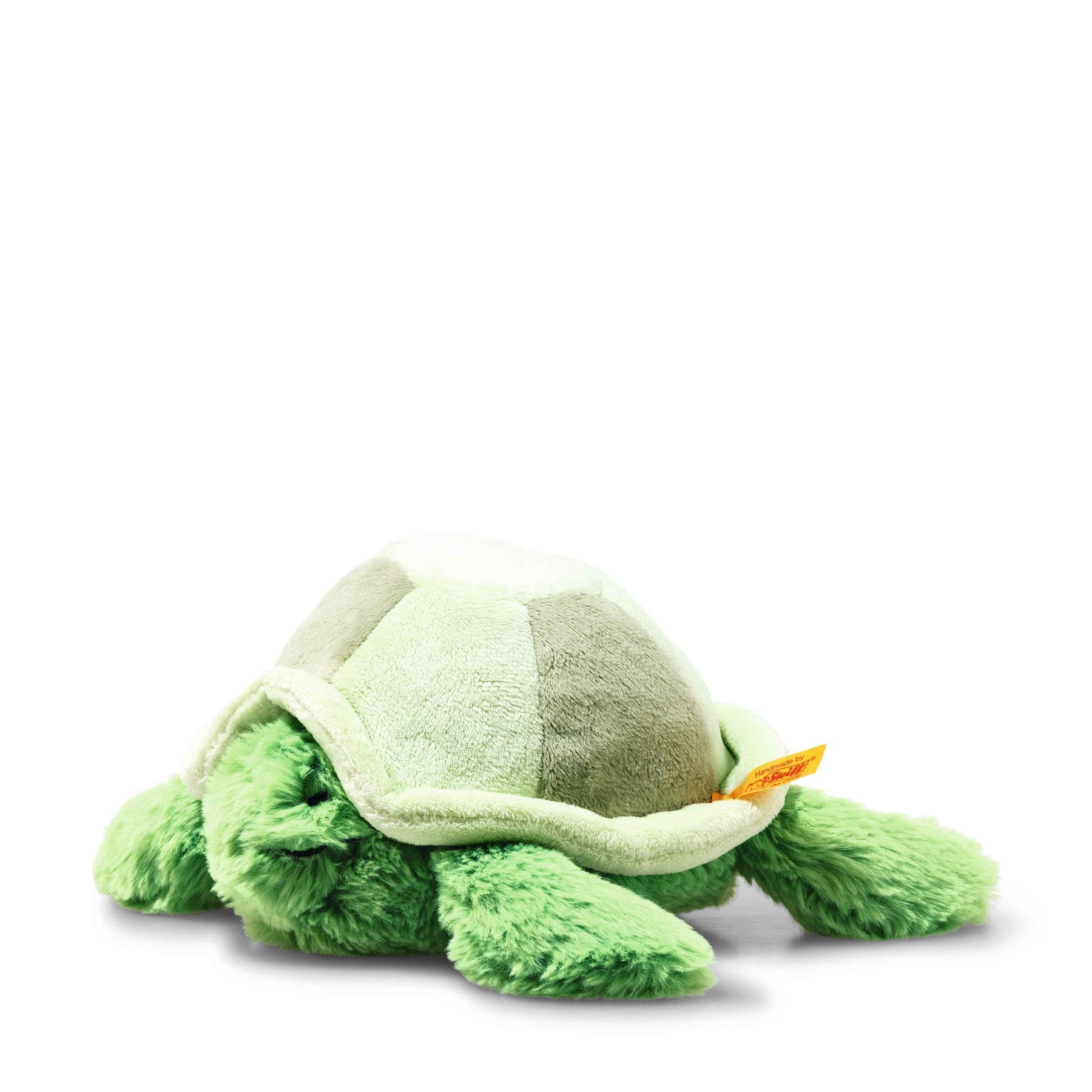Tuggy Tortoise, green