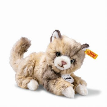 Lucy Cat, 7 in
